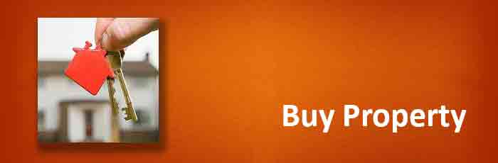 buy